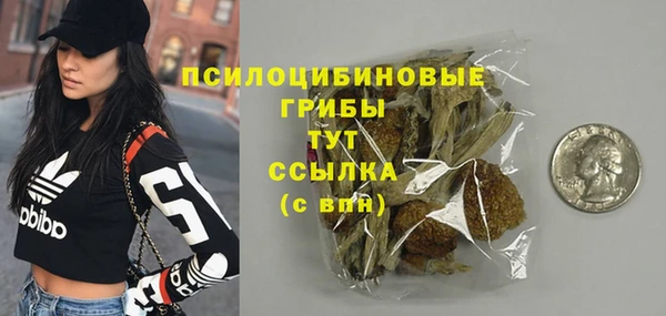 эйфоретик Краснослободск