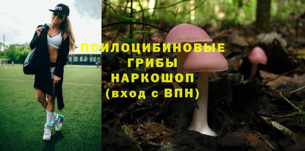 твердый Краснотурьинск