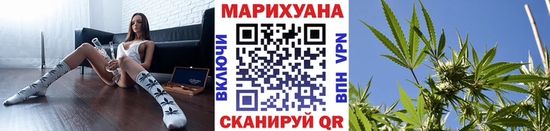 Канабис гибрид  Купить  Кирсанов 